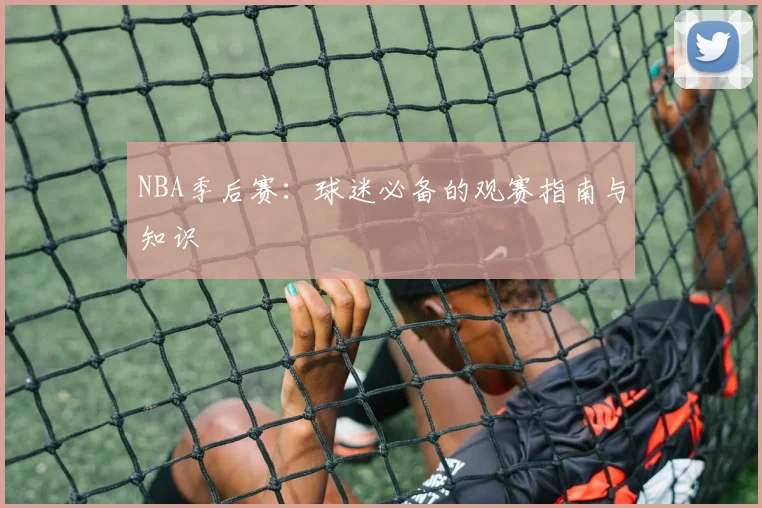NBA季后赛:球迷必备的观赛指南与知识