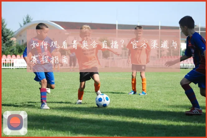 如何观看青奥会直播?官方渠道与赛程指南